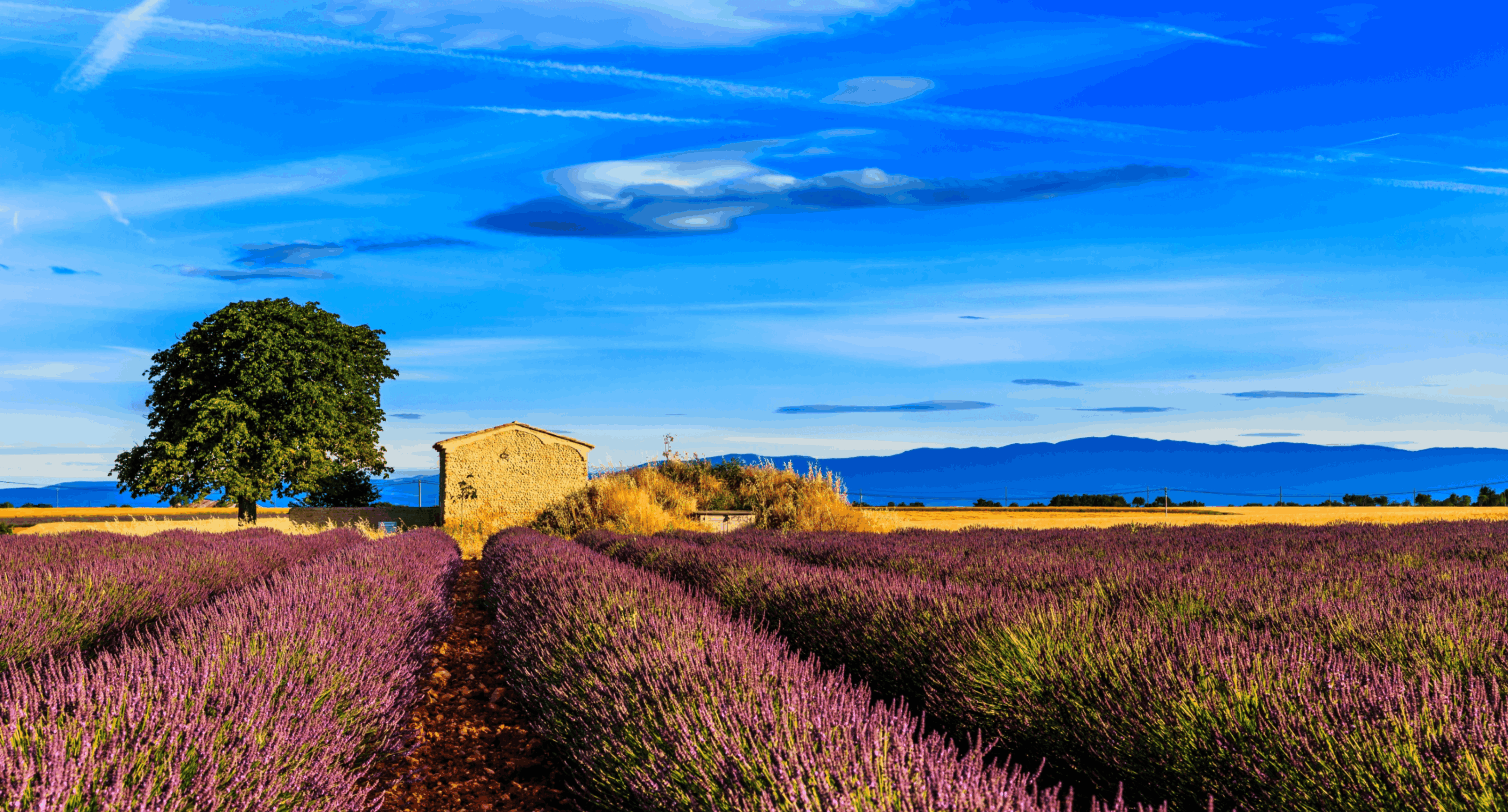 provence guide fr (1)